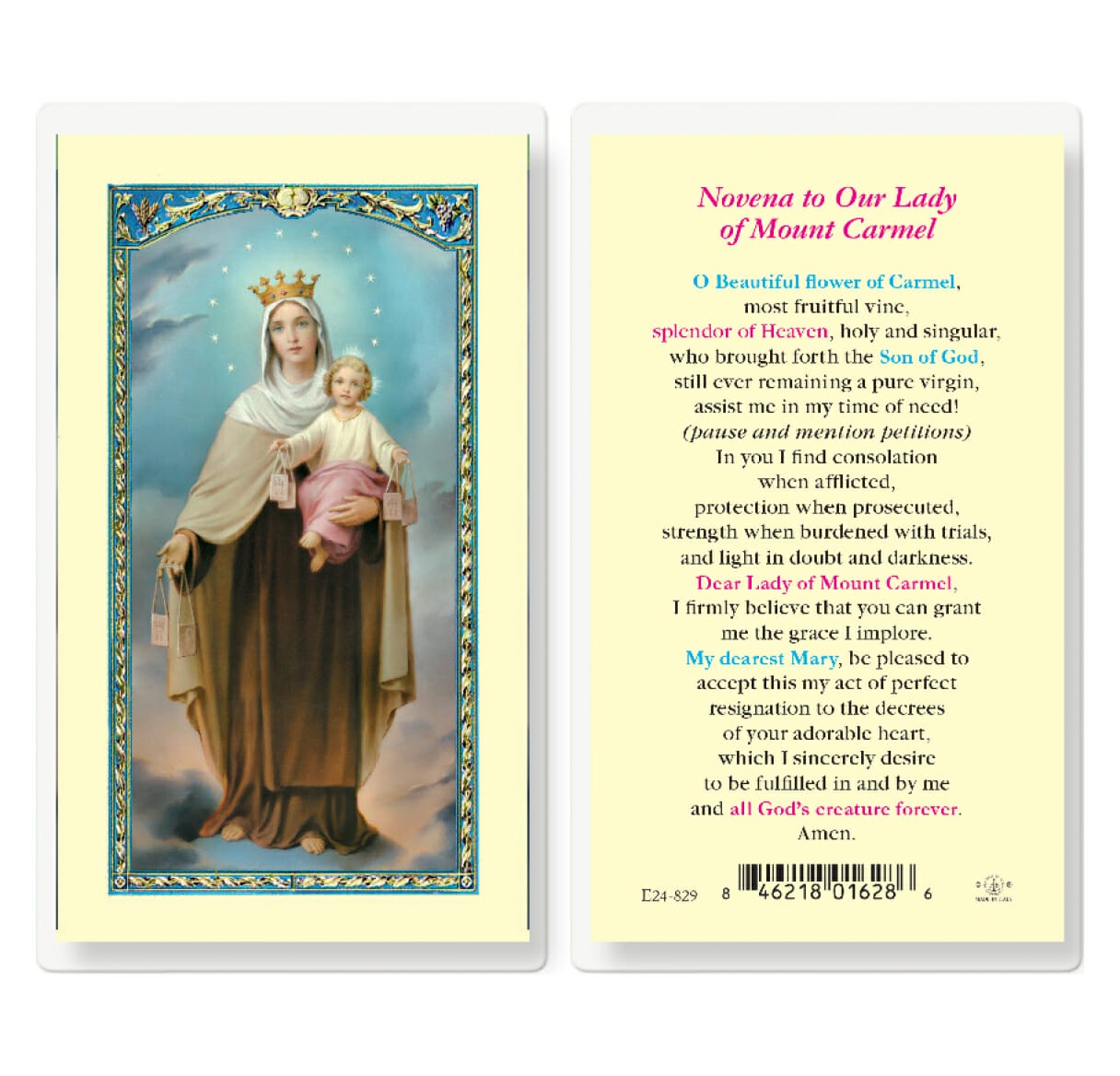 Our Lady of Mount Carmel Laminated Holy Card - 25 Pack - Buy Religious ...